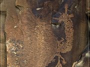 Legend Rock Petroglyph Site