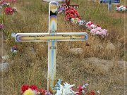 Sacajawea Cemetery (2005)