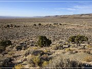 White Mountain Petroglyphs