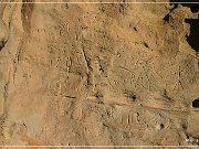 White Mountain Petroglyphs