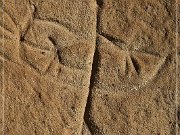 White Mountain Petroglyphs