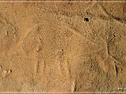 White Mountain Petroglyphs