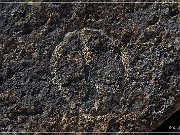 Red Rock Petroglyphs