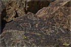 Red Rock Petroglyphs