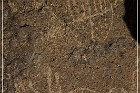Bishop Petroglyph Site