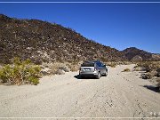 Black Canyon Petroglyphs