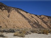 Black Canyon Petroglyphs