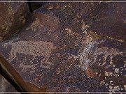 Black Canyon Petroglyphs