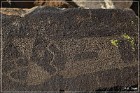 Black Canyon Petroglyphs