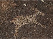 Black Canyon Petroglyphs