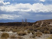 Chalfant Valley Petroglyphs