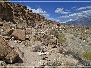 Chalfant Valley Petroglyphs