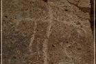 Chalfant Valley Petroglyphs