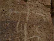 Chalfant Valley Petroglyphs