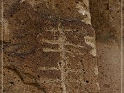 Chalfant Valley Petroglyphs