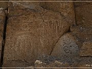 Chalfant Valley Petroglyphs