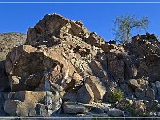 corn springs petroglyphs 03