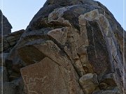 Corn Springs Petroglyphs