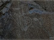 Corn Springs Petroglyphs