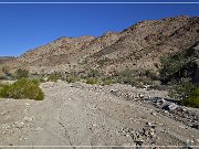 Corn Springs Petroglyphs