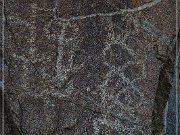 Corn Springs Petroglyphs