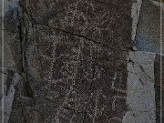 Corn Springs Petroglyphs