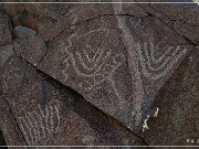 Corn Springs Petroglyphs