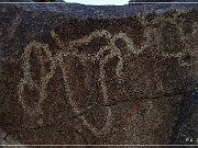 Corn Springs Petroglyphs