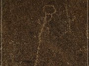 Corn Springs Petroglyphs
