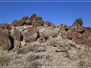 Corn Springs Petroglyphs