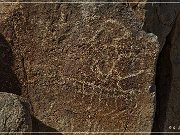 Corn Springs Petroglyphs