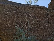 Corn Springs Petroglyphs