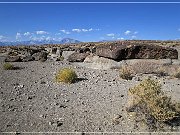 Fish Slough Petroglyphs