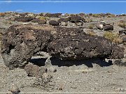 Fish Slough Petroglyphs