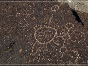 Fish Slough Petroglyphs