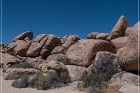 Hondo Wash Rock Art Site