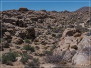 Hondo Wash Rock Art Site