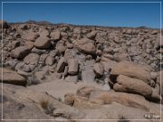 Hondo Wash Rock Art Site