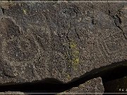 Inscription Canyon Petroglyphs