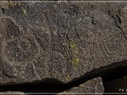 Inscription Canyon Petroglyphs