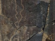 Inscription Canyon Petroglyphs