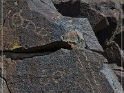 Inscription Canyon Petroglyphs