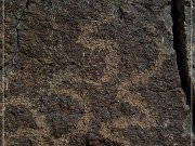 Inscription Canyon Petroglyphs