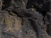 Inscription Canyon Petroglyphs