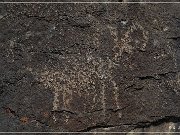 Inscription Canyon Petroglyphs