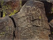 Inscription Canyon Petroglyphs