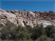 Alisters Cave Pictographs