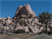 Red Lady Pictographs