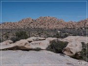 Slap Rock Shelter Pictographs