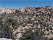 Slap Rock Shelter Pictographs